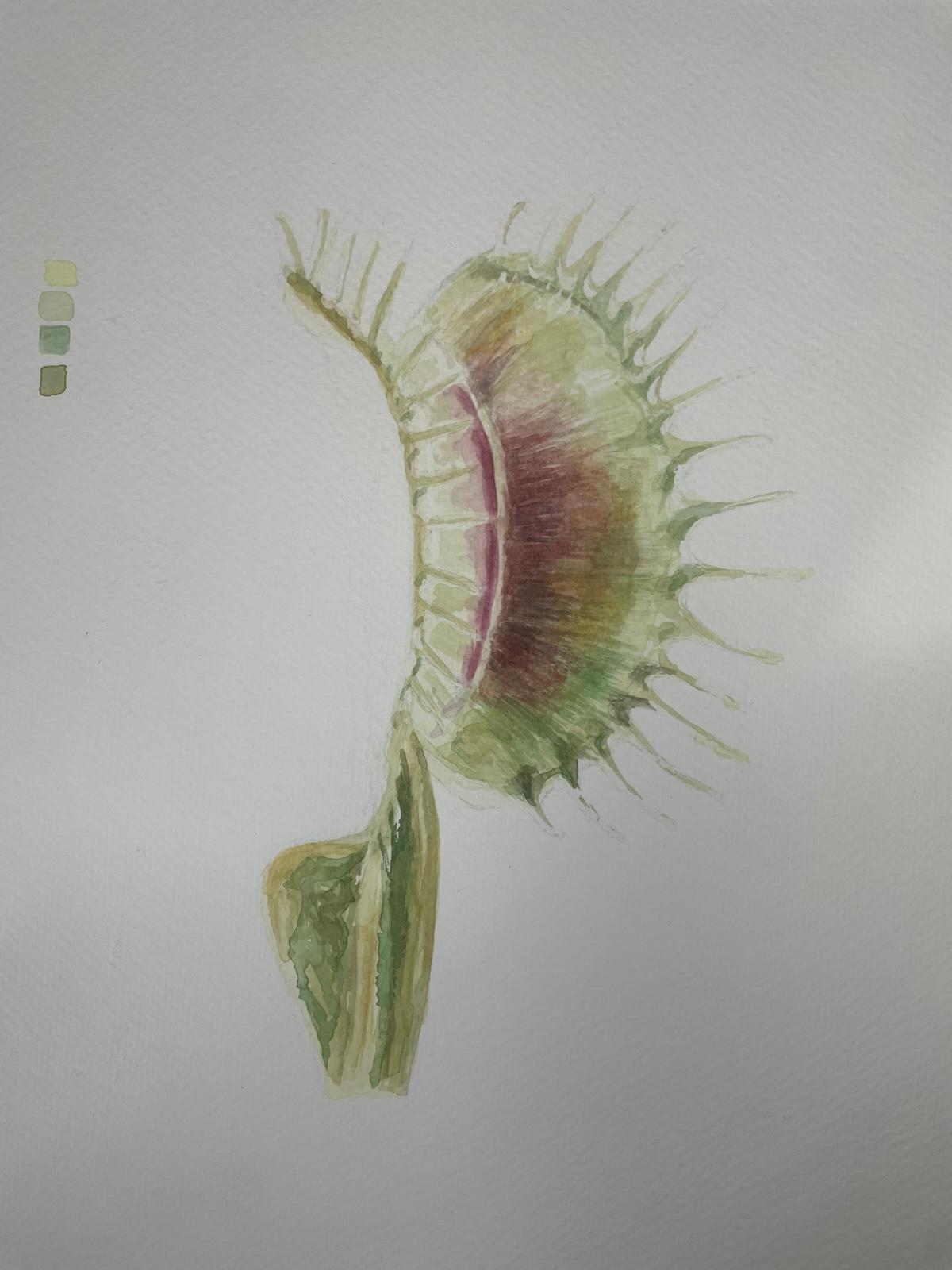 Plantita carnívora, acuarela de Ruby