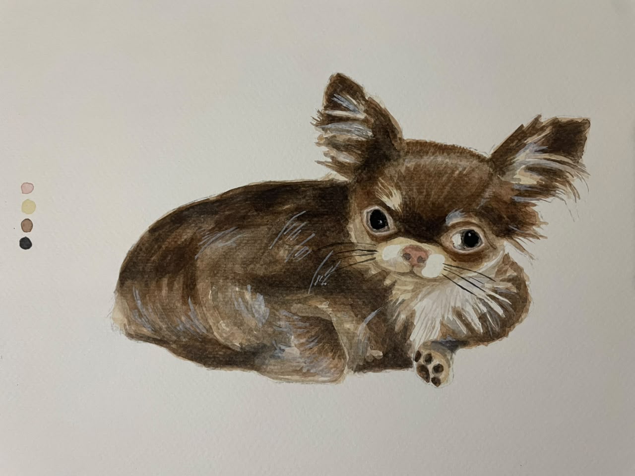 Joven chihuahua, acuarela de Ruby