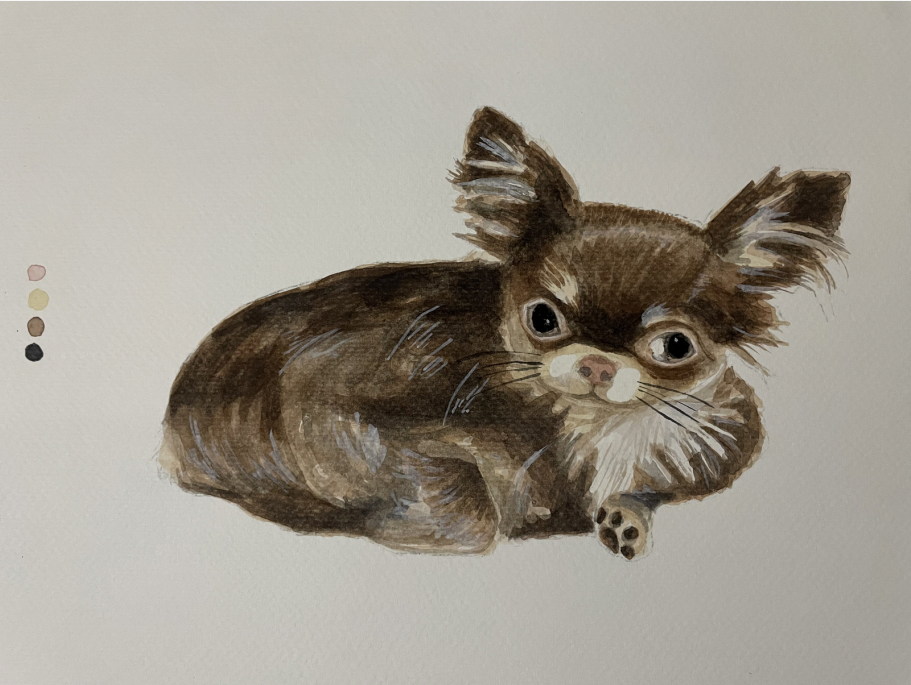 Detalle uno de Joven chihuahua