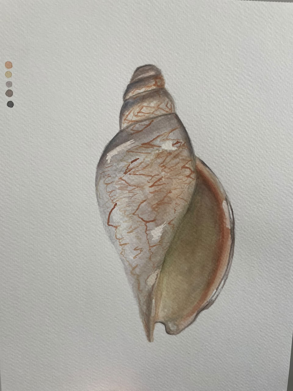 Casita corola, acuarela de Ruby