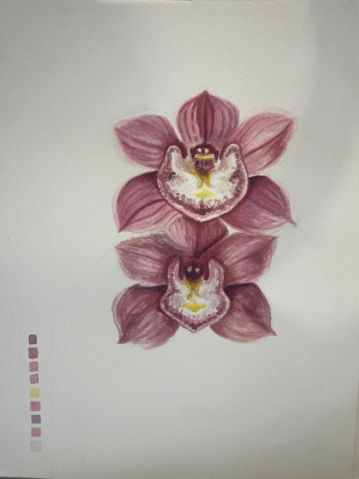 Pétalos rosas, acuarela de Ruby