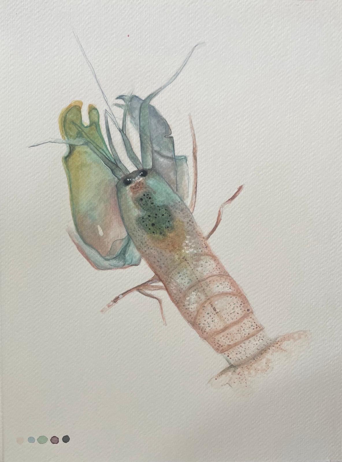 Langostino, acuarela de Ruby